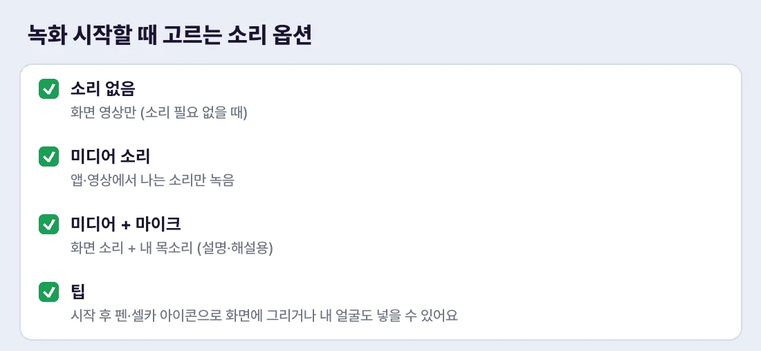 목적에 맞게 고르는 화면 녹화 소리 옵션